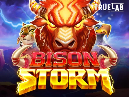 Bison Storm